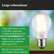 Efficient-Line Filament 230V LED Birne E27 Einzelleuchte 1055lm 5W 3000K Matt