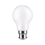 White LED light bulb with metal base for energy-efficient home lighting