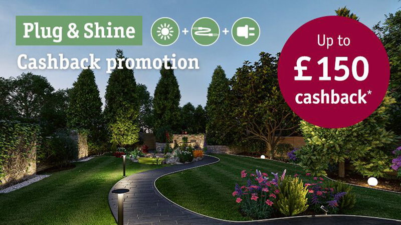 Garden path illuminated by Plug & Shine outdoor lights with cashback offer up to £150