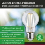 Ampoule LED économique à verre transparent et base argentée pour un éclairage efficace et écologique