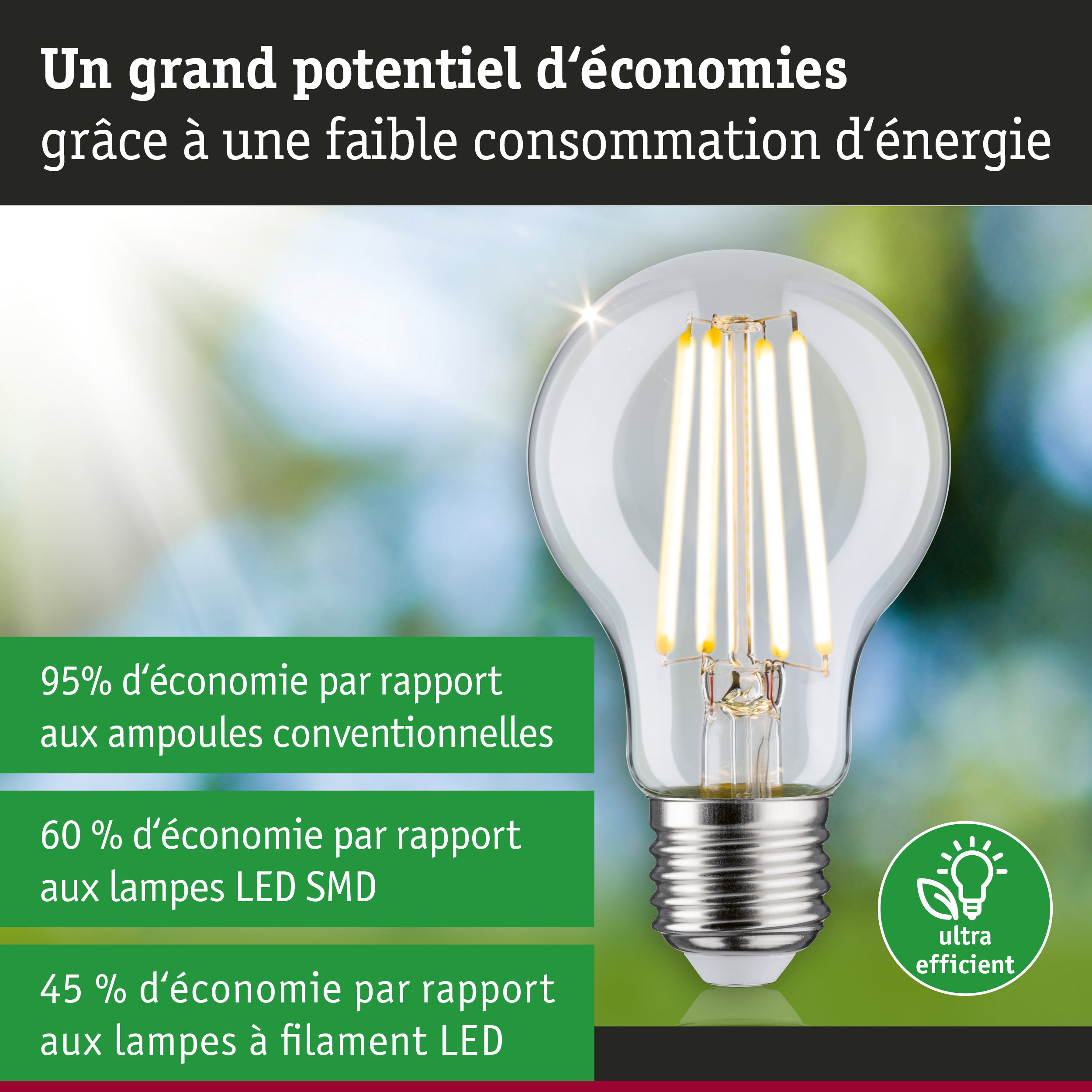 Ampoule LED économique à verre transparent et base argentée pour un éclairage efficace et écologique