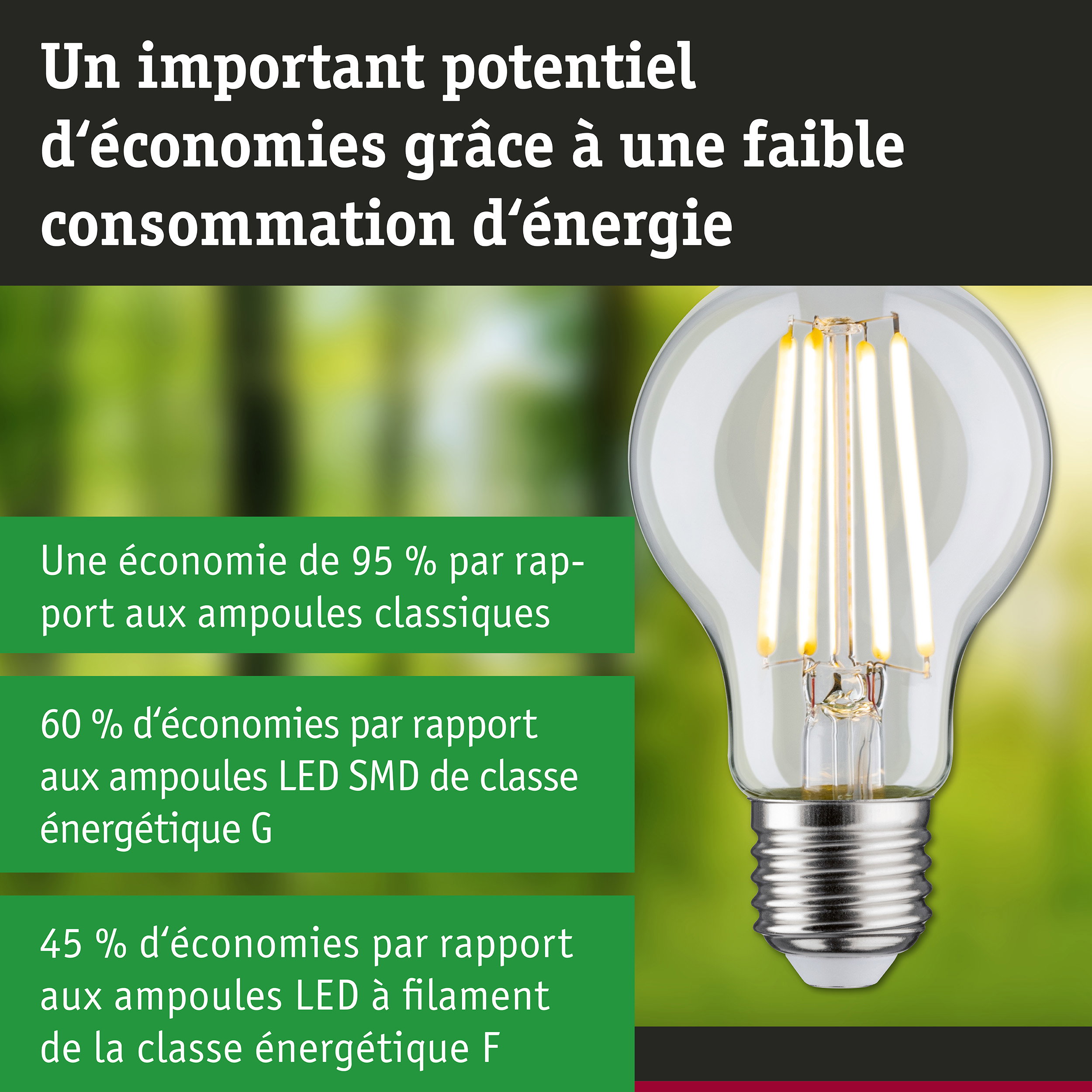 Ampoule LED économique à verre transparent et base argentée pour un éclairage efficace et écologique