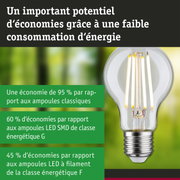Ampoule LED économique à verre transparent et base argentée pour un éclairage efficace et écologique