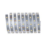 Bande LED flexible argentée avec LEDs blanc chaud pour éclairage polyvalent et décoration