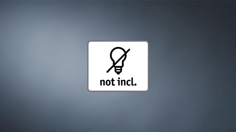 Icon showing crossed-out light bulb with text not included, indicating no light bulbs supplied