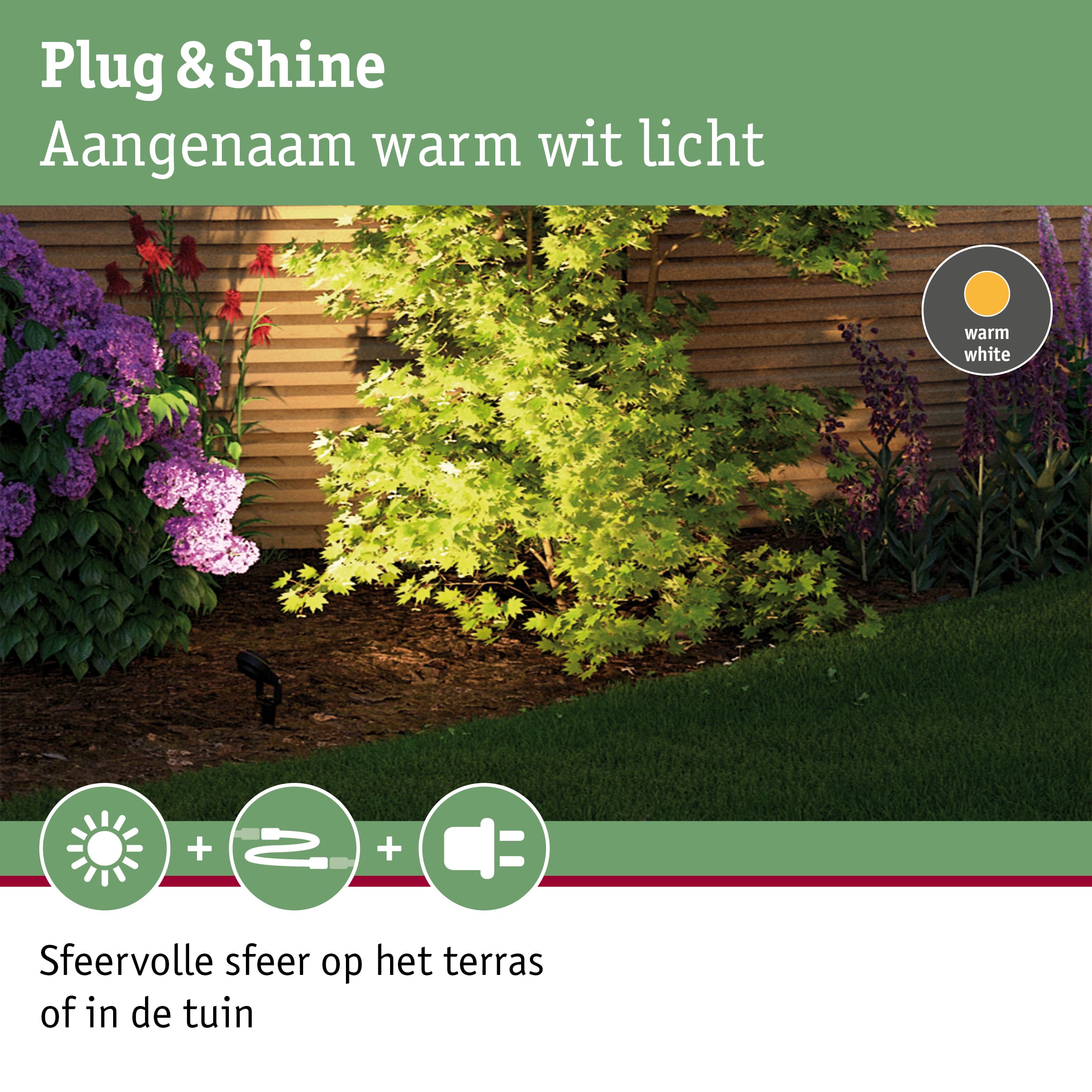 Tuin met groene esdoorn en paarse bloemen bij houten schutting verlicht met warm wit licht voor terras