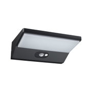 Black LED wall light with motion sensor and white diffuser for outdoor lighting