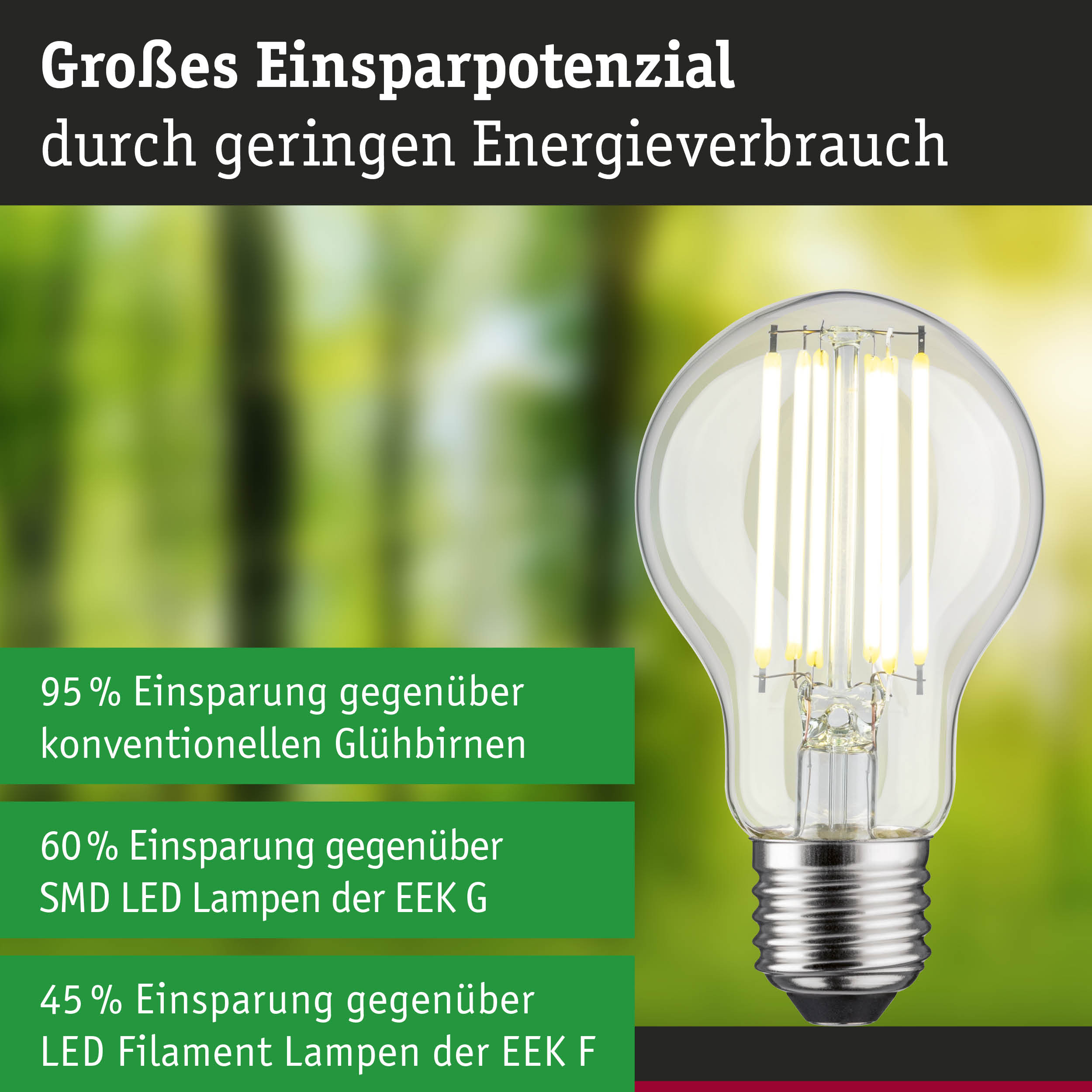 Efficient-Line Filament 230V LED Birne E27 Einzelleuchte 1055lm 5W 4000K Klar