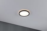 Runde LED-Deckenleuchte mit schwarzem Metallrahmen und warmweißem Licht für moderne Innenräume