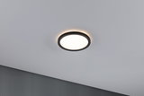 Round LED ceiling light with black metal frame and warm white light for modern interiors