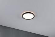 Round LED ceiling light with black metal frame and warm white light for modern interiors