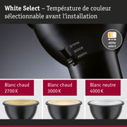 Lampe LED noire avec température de couleur réglable de 2700K à 4000K pour un éclairage polyvalent
