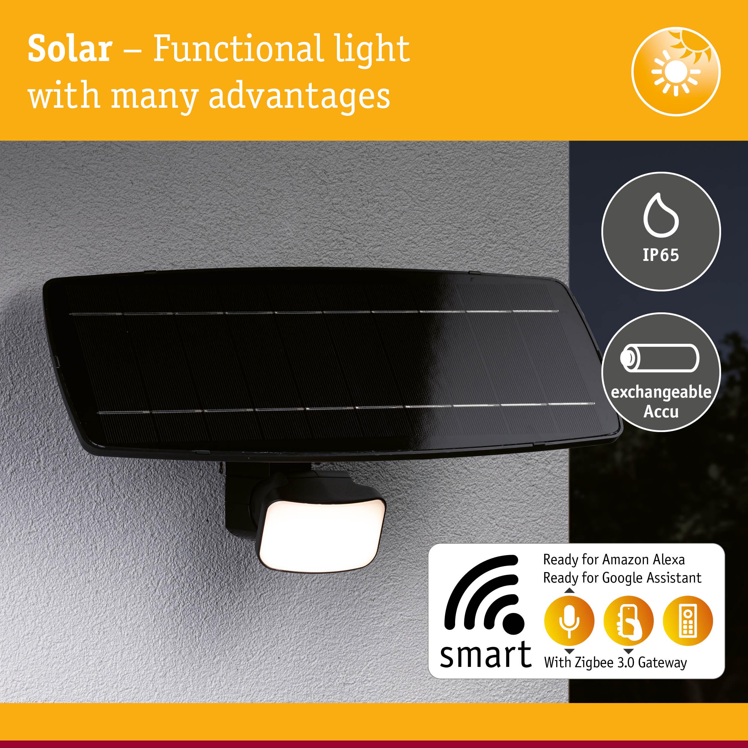 Black solar outdoor light with IP65 rating and exchangeable battery, smart control via Alexa and Google Assistant.