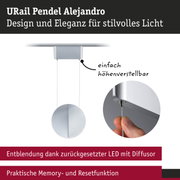 URail Pendel Alejandro Hängeleuchte in Silber mit höhenverstellbarem Design und LED-Diffusor