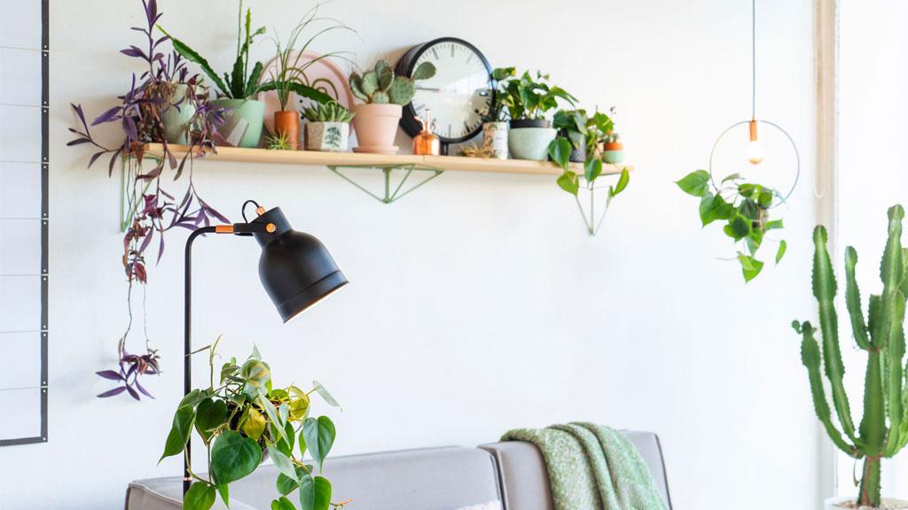 Black metal floor lamp with warm light beside grey sofa and green houseplants in modern living room.
