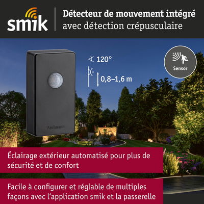 Détecteur de mouvement noir avec détection crépusculaire pour éclairage extérieur automatisé et contrôle via application