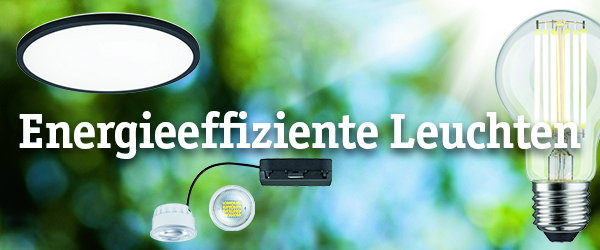 Energieeffiziente LED-Deckenleuchte und Glühbirne vor grünem Hintergrund für nachhaltige Beleuchtung