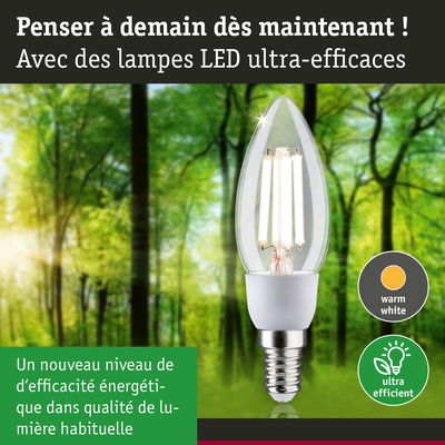 Ampoule LED en forme de bougie avec lumière blanc chaud et haute efficacité énergétique en forêt