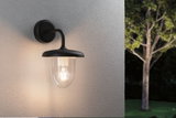 Black outdoor wall lamp with clear glass and warm white light for garden lighting