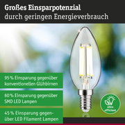 Energiesparlampe mit klarem Glas und silberner Fassung zeigt hohes Einsparpotenzial bei Stromverbrauch