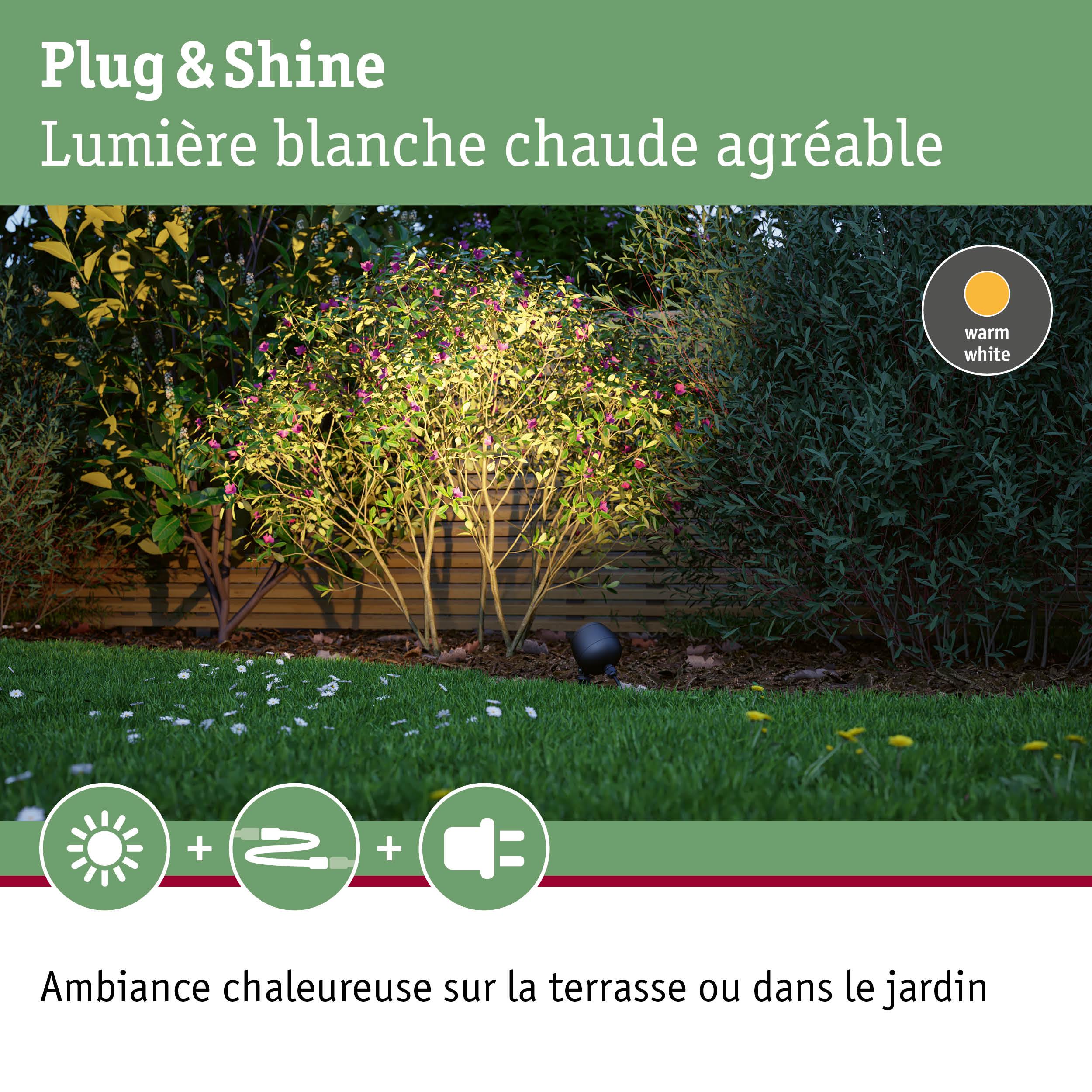 Éclairage extérieur blanc chaud pour terrasse et jardin avec pelouse verte et buissons éclairés