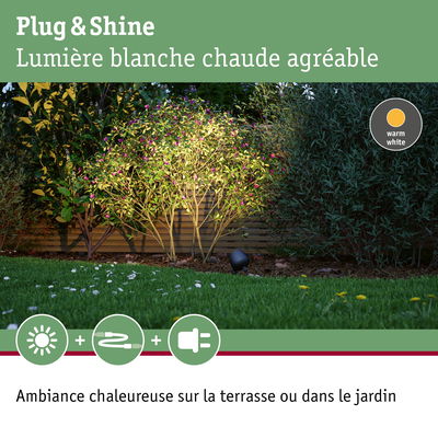 Éclairage extérieur blanc chaud pour terrasse et jardin avec pelouse verte et buissons éclairés