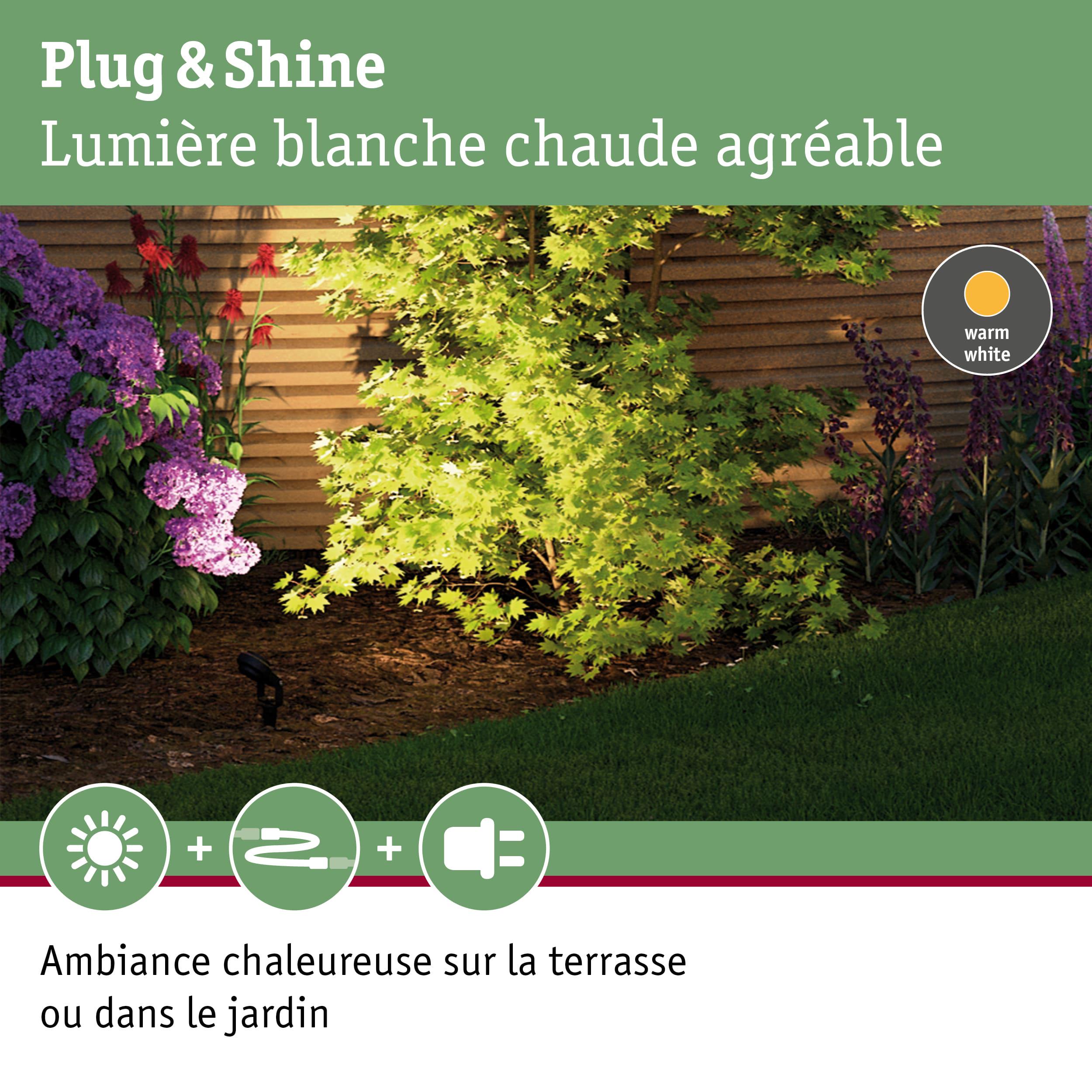 Lumière LED Plug & Shine blanc chaud éclairant plantes vertes et terrasse pour ambiance chaleureuse extérieure