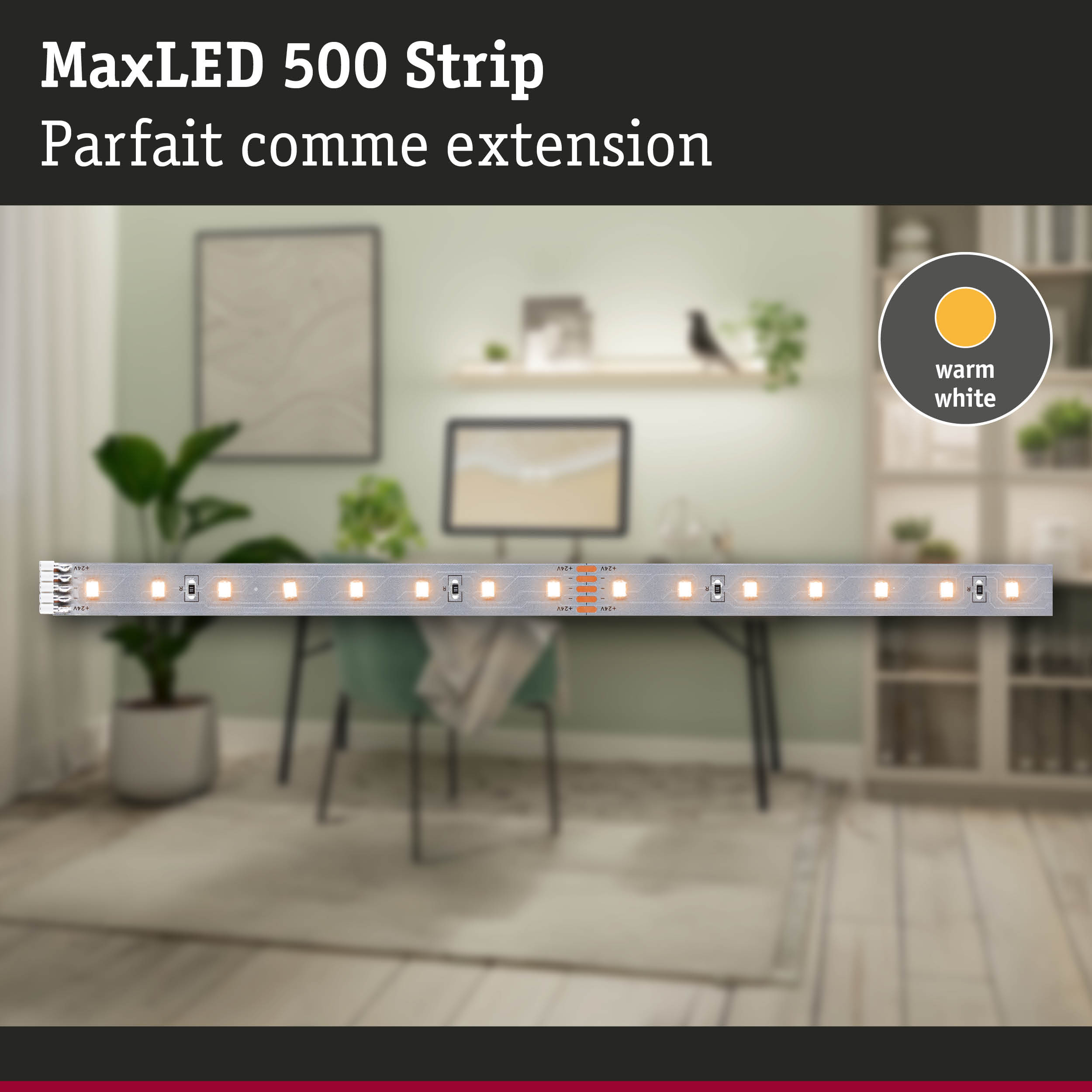 Bande LED MaxLED 500 avec lumière blanc chaud pour éclairage intérieur et extension