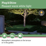Garden tree lit by warm white Plug & Shine LED light for atmospheric outdoor lighting