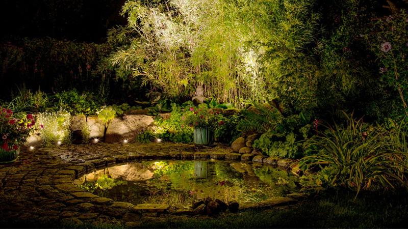 Schaffe dir deine eigene Teich-Oase mit einer wunderschönen Teichbeleuchtung. Teichbeleuchtung von Paulmann