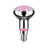 Reflective light bulb with E14 base and pink coating for decorative lighting use