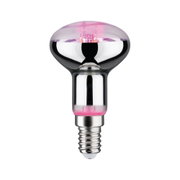Reflektorlampe mit E14-Fassung aus Glas in Silber mit rosa Reflexion für dekorative Beleuchtung