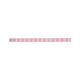 Rode LED-lichtstrip met transparante behuizing voor decoratieve verlichting en accenten