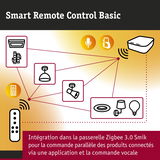 Smart Remote Control Basic avec passerelle Zigbee 3.0 Smik pour commande parallèle des éclairages connectés par application et voix