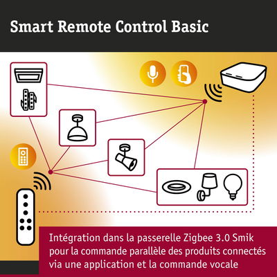 Smart Remote Control Basic avec passerelle Zigbee 3.0 Smik pour commande parallèle des éclairages connectés par application et voix