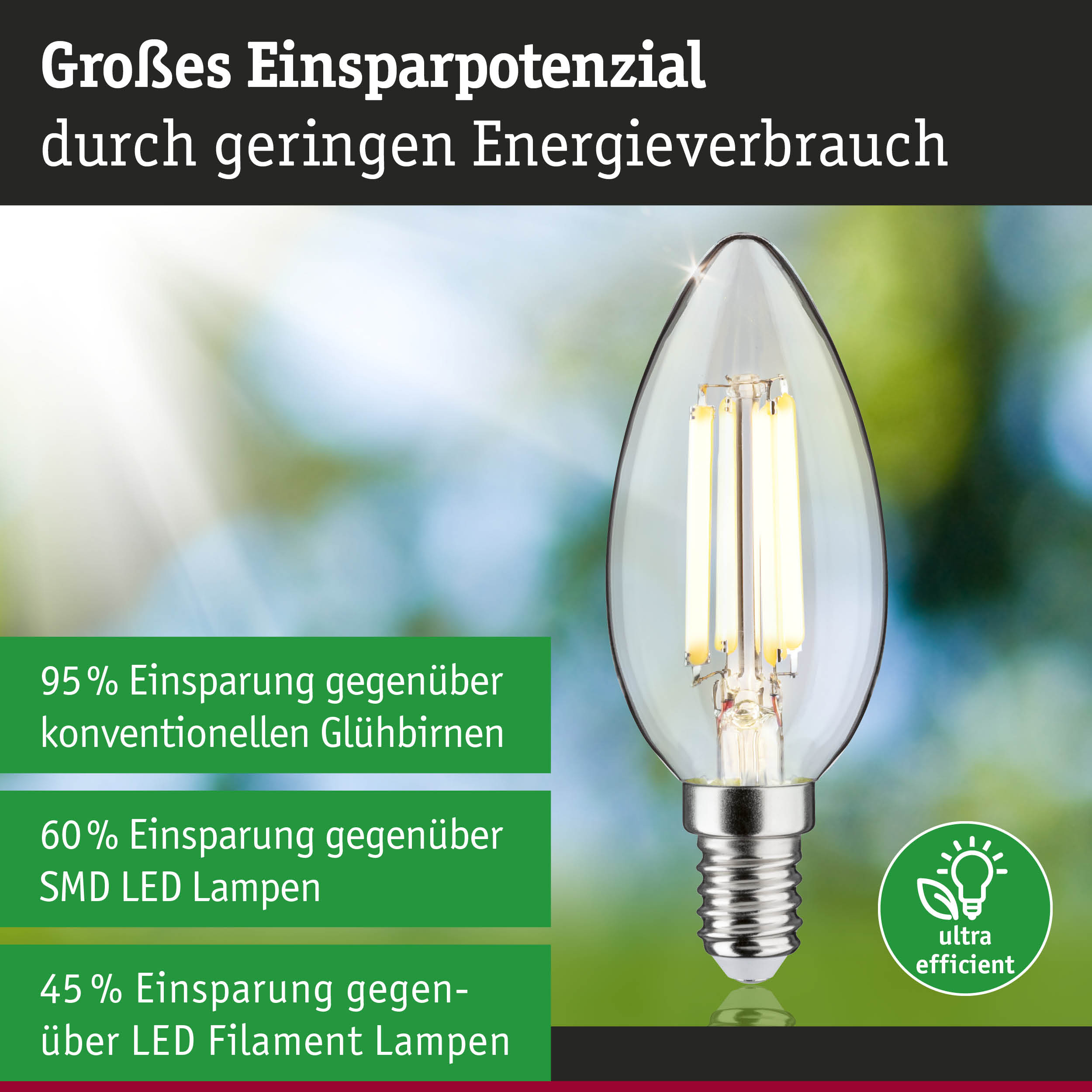 Energiesparlampe mit klarem Glas und Schraubsockel zeigt hohes Einsparpotenzial bei Stromverbrauch