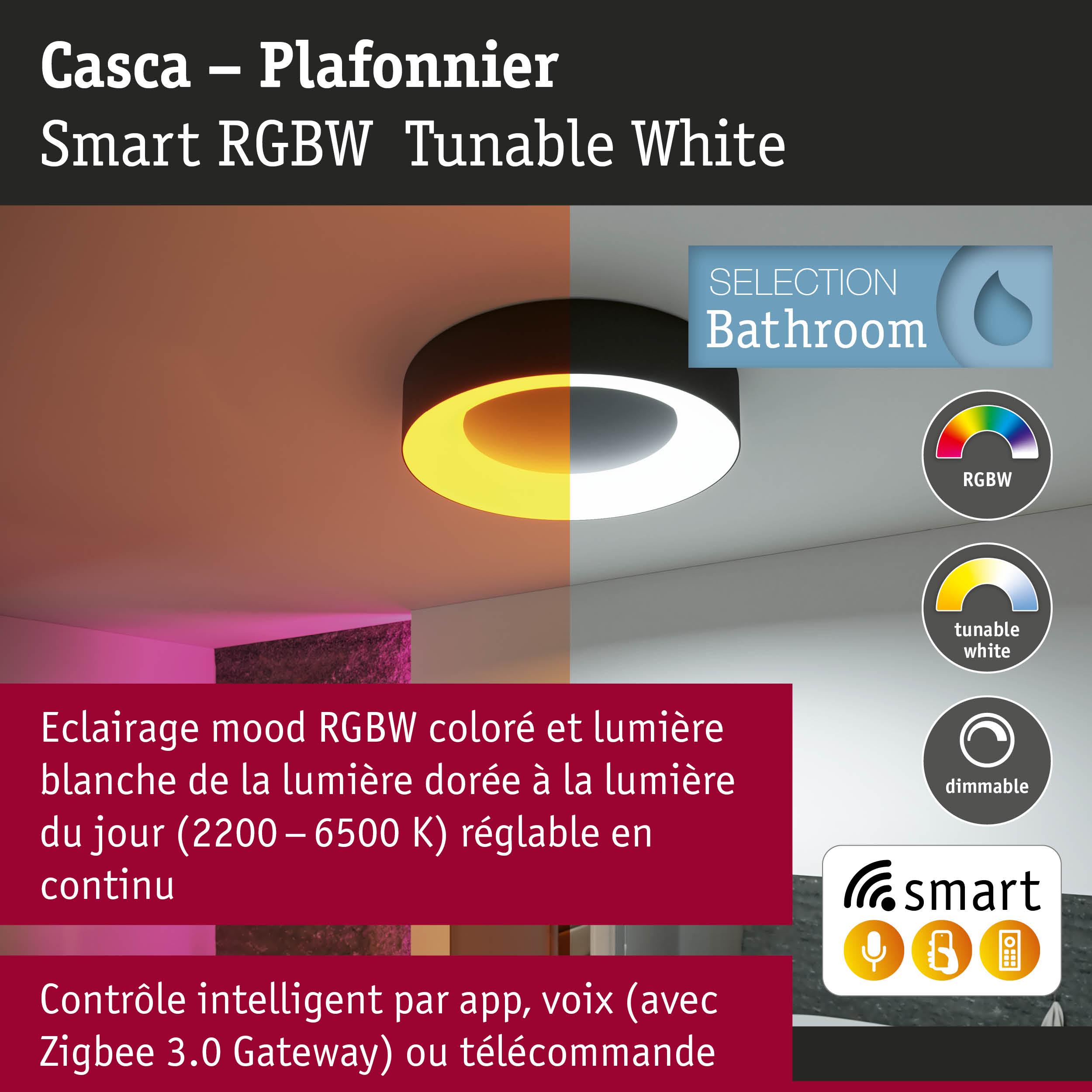 Plafonnier Casca noir avec éclairage RGBW réglable pour salle de bain et contrôle intelligent