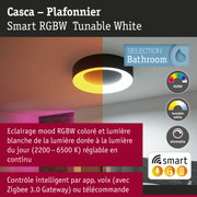 Plafonnier Casca noir avec éclairage RGBW réglable pour salle de bain