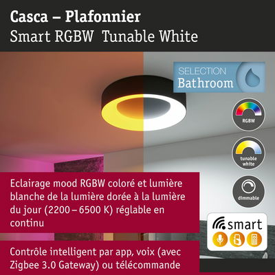 Plafonnier Casca noir avec éclairage RGBW réglable pour salle de bain et contrôle intelligent