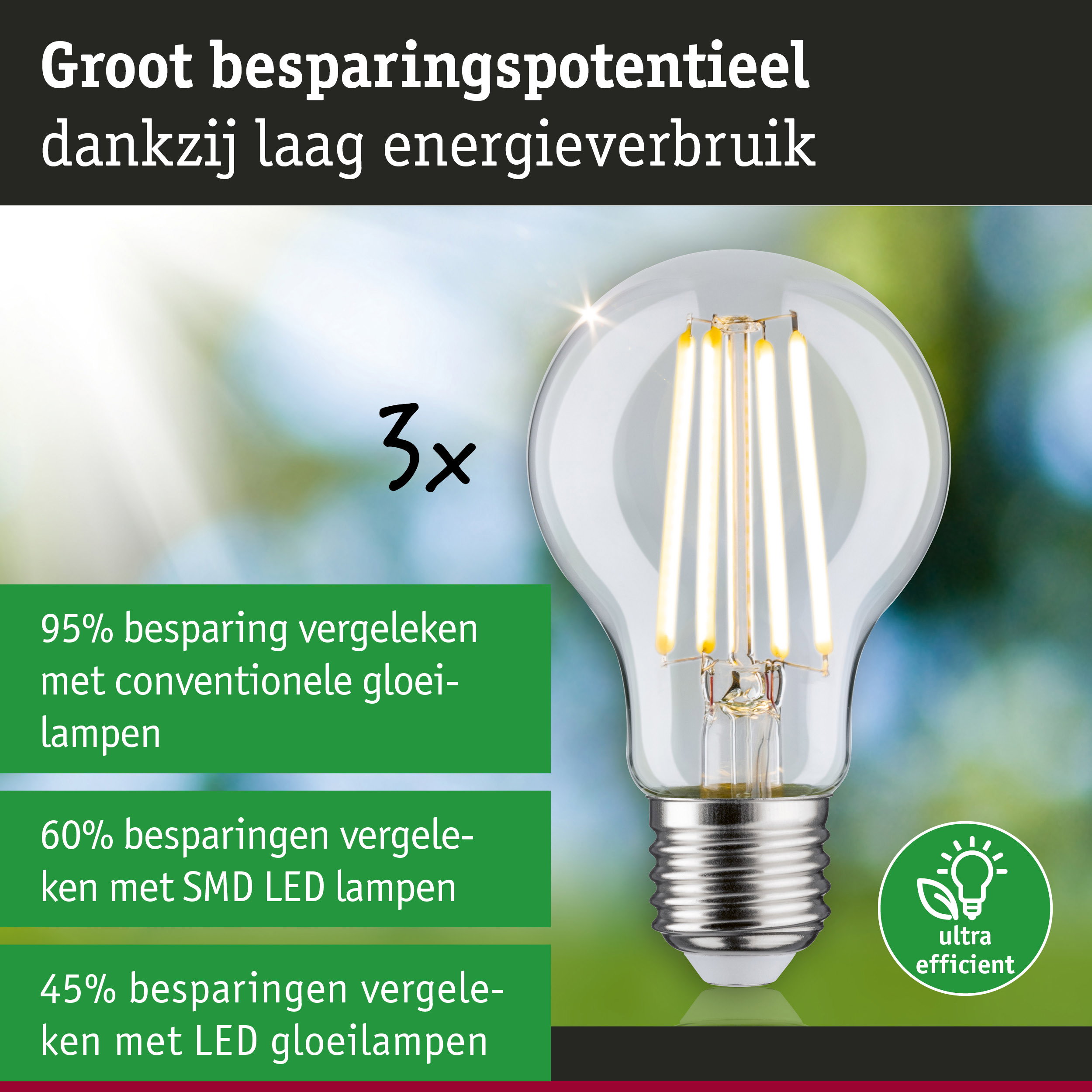 Energiezuinige LED-gloeilamp met helder glas en zilveren fitting voor duurzame verlichting