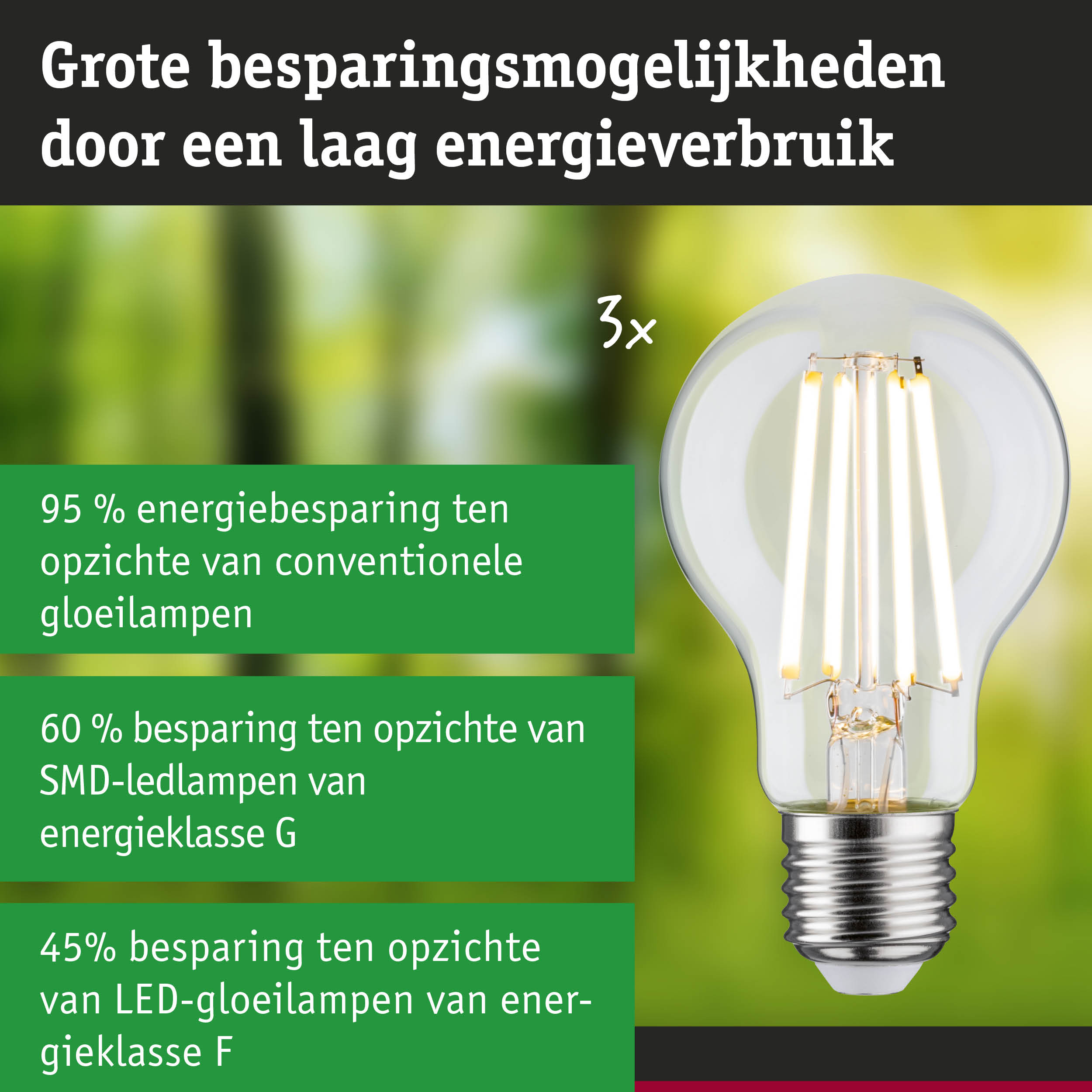 Energiezuinige LED-gloeilamp met helder glas en zilveren fitting voor duurzame verlichting