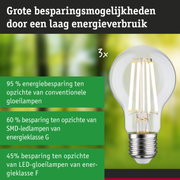Energiezuinige LED-gloeilamp met helder glas en zilveren fitting voor duurzame verlichting