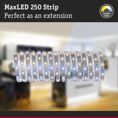 MaxLED 250 Strip flexible white LED light strip with tunable white for home lighting extension