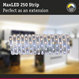 MaxLED 250 Strip LED light with tunable white, perfect extension for home lighting solutions