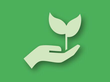 Green icon of hand holding plant symbolizing sustainability and eco-awareness in the shop.