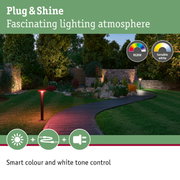 Garden path with Plug & Shine RGBW outdoor lighting and tunable white for atmospheric smart colour control
