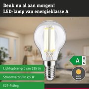 Energiezuinige LED-lamp met warm wit licht en hoge efficiëntie tegen groene bosachtergrond