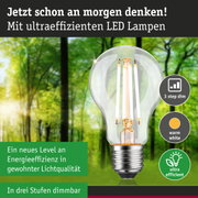 Klassische LED-Glühbirne mit warmweißem Licht und hoher Energieeffizienz vor grünem Waldhintergrund