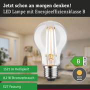 Klassische LED-Glühbirne mit warmweißem Licht und hoher Energieeffizienz vor grünem Waldhintergrund