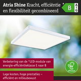 Wit vierkant LED-plafondpaneel met hoge energie-efficiëntieklasse B voor milieuvriendelijke verlichting
